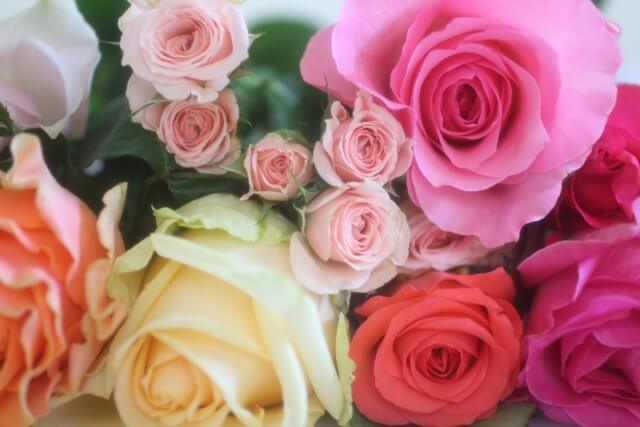 バラの花の種類について 後悔しない選び方とバラの種類がわからない時のこと Balcofarm ベランダガーデニングのブログ